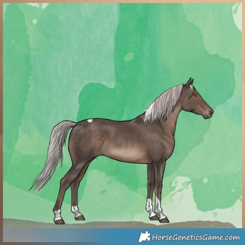 Horse Color:Silver Black Tobiano 