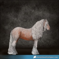Horse Color:Silver Brown Tobiano