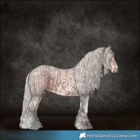 Horse Color:Silver Grullo Tobiano and Silver Black Tobiano