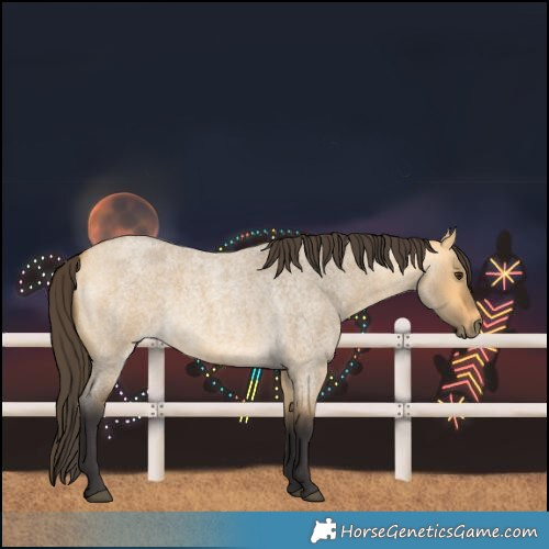 Horse Color:Buckskin Roan Dun