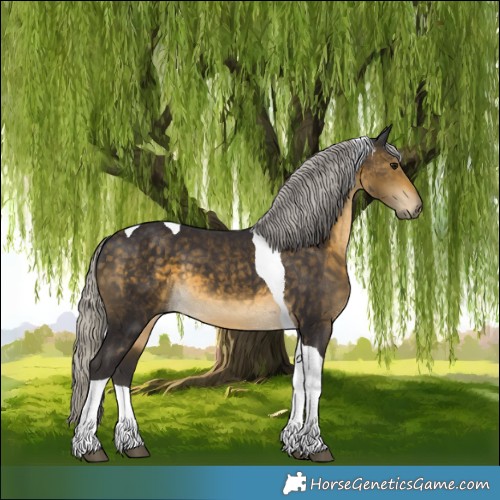 Horse Color:Silver Buckskin Tobiano