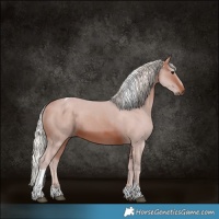 Horse Color:Silver Brown Tobiano 