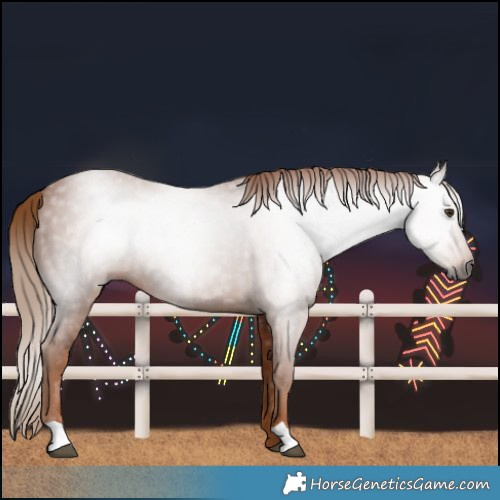 Horse Color:Gray Chestnut
