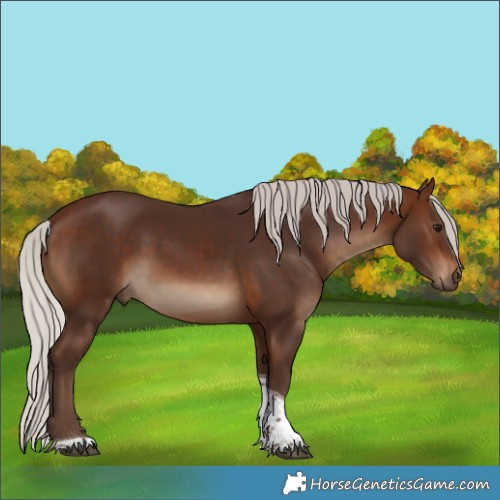 Horse Color:Silver Brown Tobiano