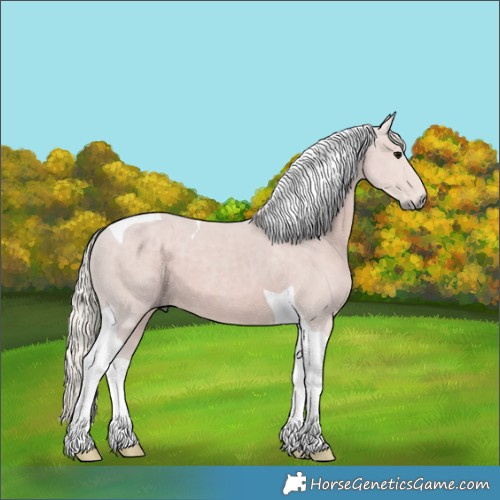 Horse Color:Silver Black Tobiano