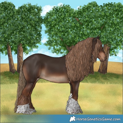 Horse Color:Liver Chestnut Tobiano 