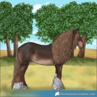 Horse Color:Liver Chestnut Tobiano 