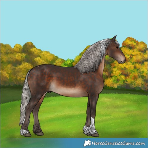 Horse Color:Silver Brown Tobiano