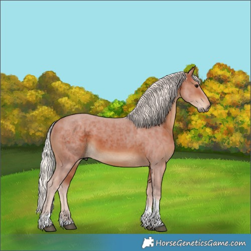 Horse Color:Silver Brown Tobiano 
