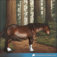 Horse Color:Liver Chestnut Tobiano