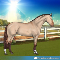 Horse Color:Chocolate Bay Dun