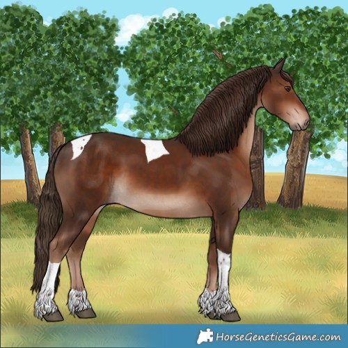 Horse Color:Liver Chestnut Tobiano 