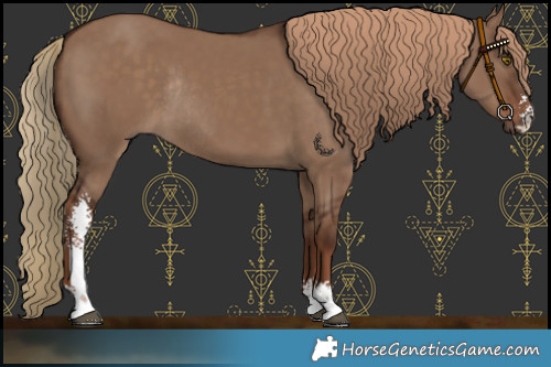 Horse Color:Liver Red Dun Sabino Rabicano