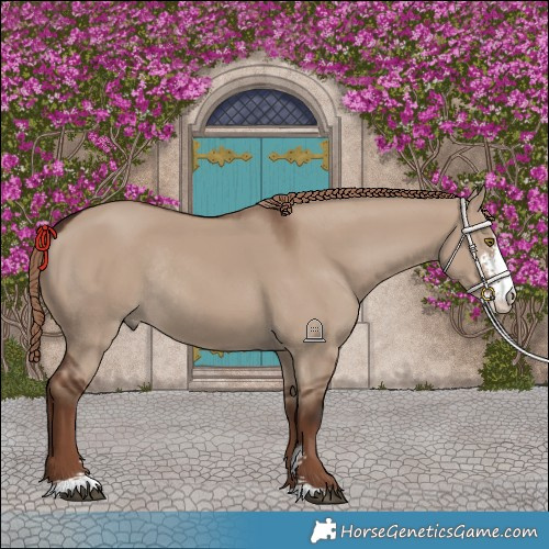 Horse Color:Liver Red Dun Sabino Rabicano