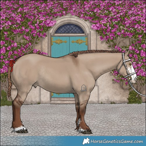 Horse Color:Liver Red Dun Sabino Rabicano 