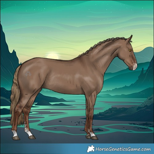 Horse Color:Liver Red Dun Sabino Rabicano 