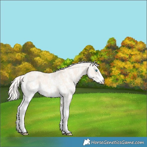 Horse Color:Cremello Dun Sabino  and Cremello Dun Sabino 