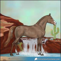 Horse Color:Liver Red Dun Sabino Rabicano 