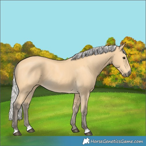 Horse Color:Silver Buckskin 