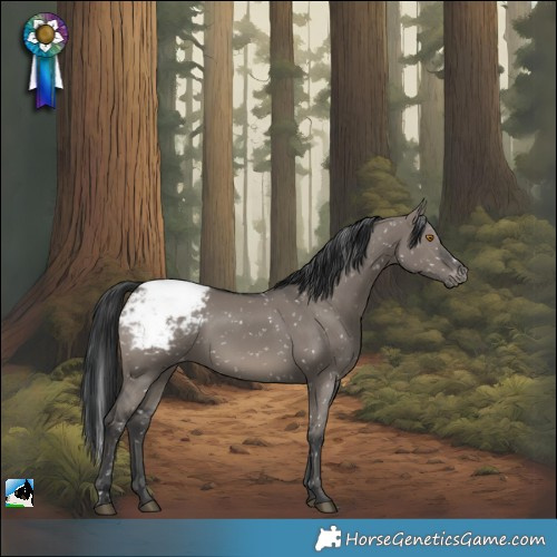 Horse Color:Grullo Appaloosa Rabicano 