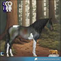 Horse Color:Brown Tobiano Rabicano 