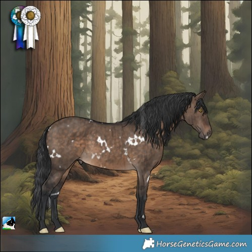 Horse Color:White Spotted Brown Dun Rabicano Brindle