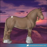Horse Color:Liver Red Dun Tobiano Rabicano 