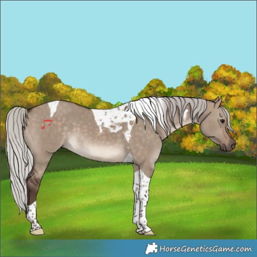 Horse Color:Silver Brown Dun Tobiano