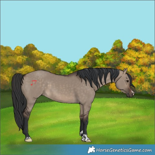 Horse Color:Brown Dun