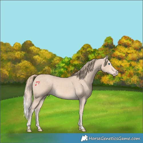 Horse Color:Perlino Rabicano 
