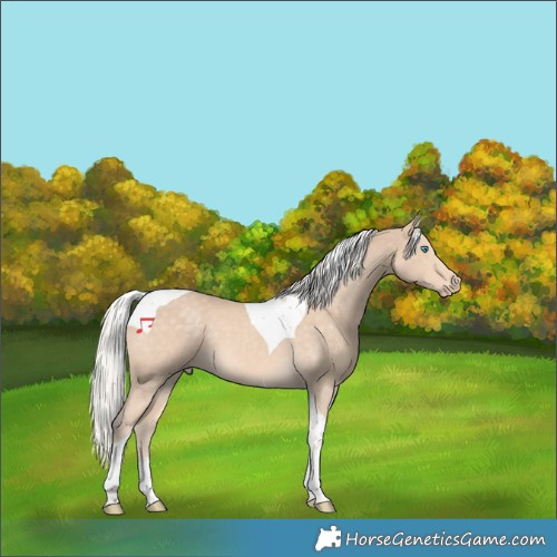 Horse Color:Silver Perlino Tobiano