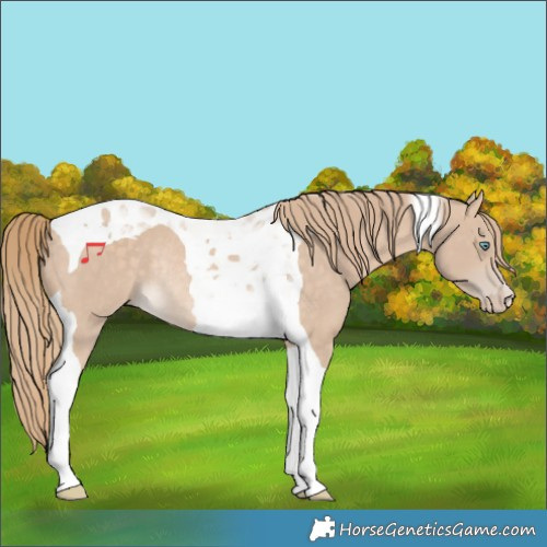 Horse Color:Perlino Tobiano Rabicano 