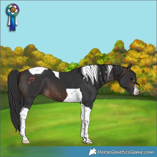 Horse Color:Bay Tobiano