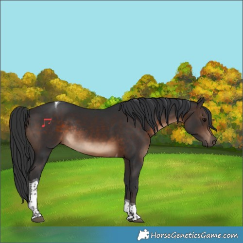 Horse Color:Brown Tobiano Rabicano