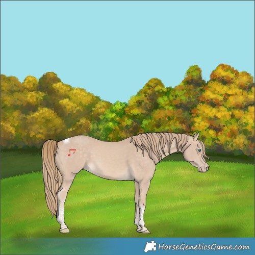 Horse Color:Perlino Tobiano Rabicano 