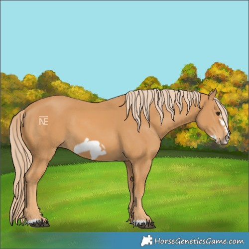 Horse Color:Chestnut Frame