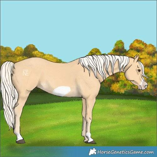 Horse Color:Palomino Frame 