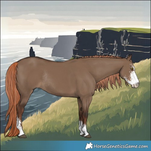 Horse Color:Liver Red Dun Sabino Rabicano