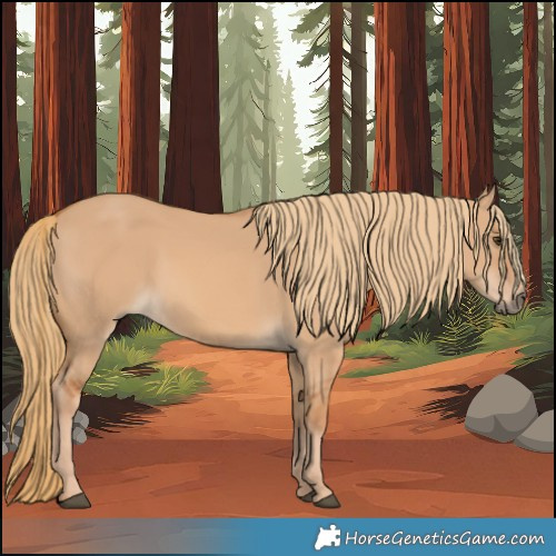 Horse Color:Red Dun Rabicano 