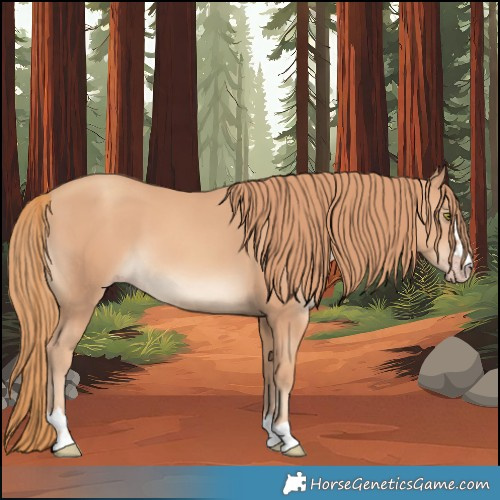 Horse Color:Gold Champagne 
