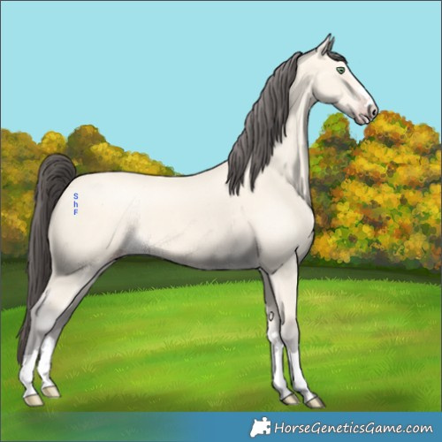 Horse Color:Amber Cream Champagne 