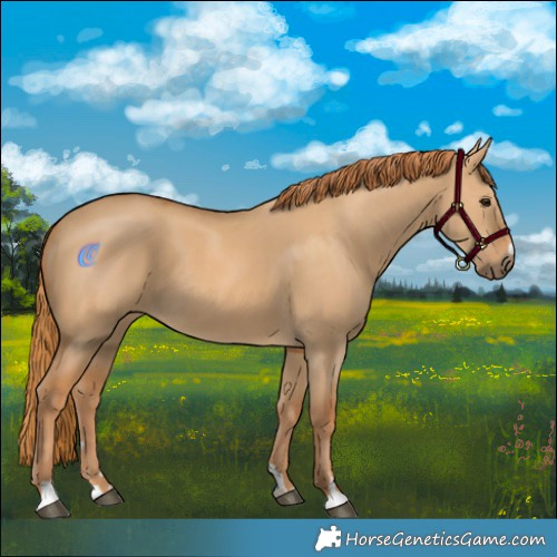 Horse Color:Red Dun 