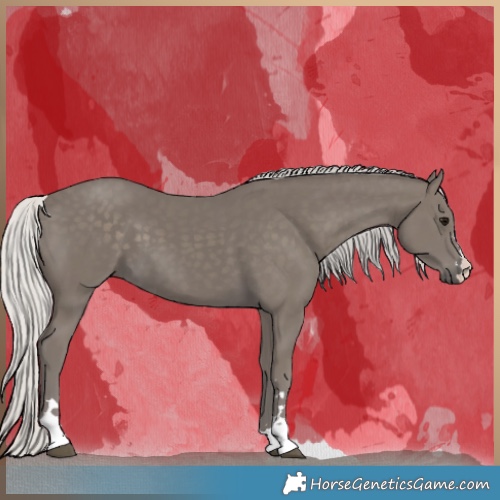 Horse Color:Silver Smoky Black 