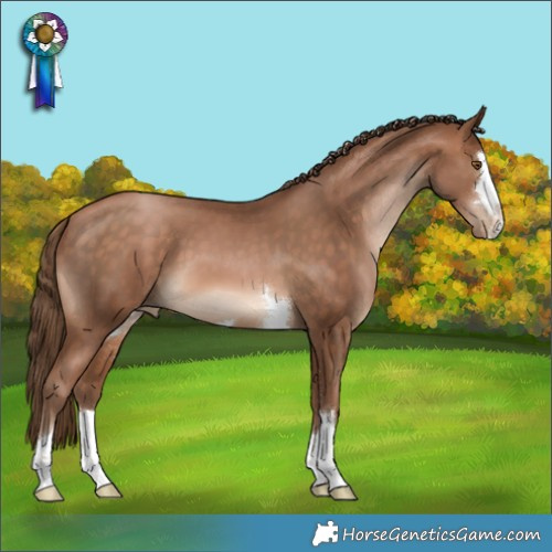 Horse Color:Brown Pearl