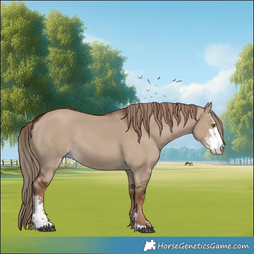 Horse Color:Liver Red Dun Sabino Rabicano