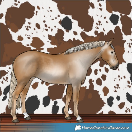 Horse Color:Gray Palomino 