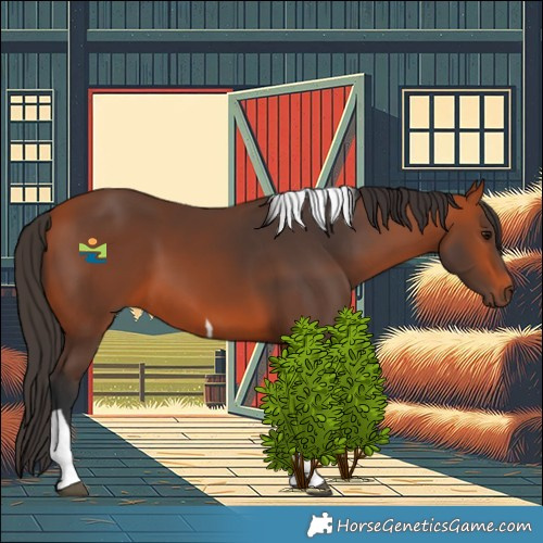 Horse Color:Bay Tobiano Rabicano