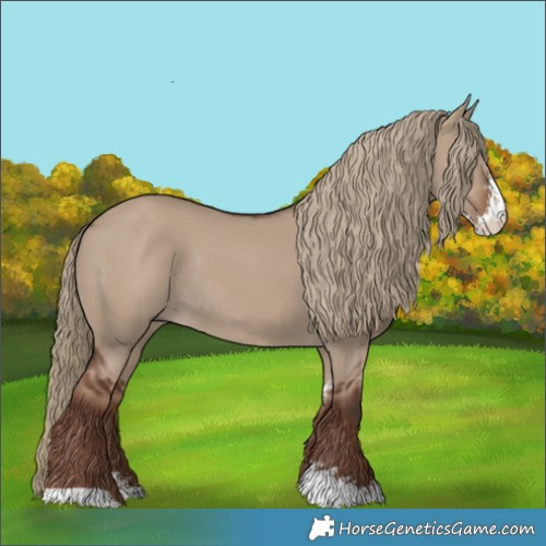 Horse Color:Liver Red Dun Sabino Rabicano 