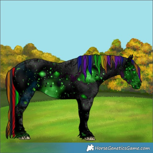 Horse Color:ERROR: UNKNOWN ANOMALY