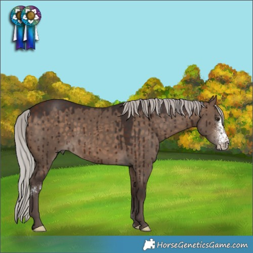 Horse Color:Silver Brown Dun Sabino Brindle